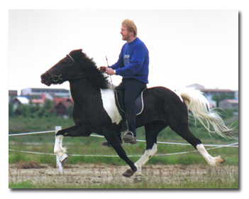 Gima competing in Iceland Gima competing in Iceland