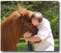 a man hugging an icelandic horse a man hugging an icelandic horse