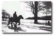 Andi in the early days at Vermont Icelandic Horse Farm Andi in the early days at Vermont Icelandic Horse Farm
