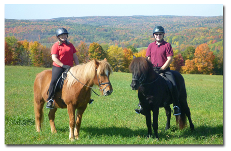 horses and a view