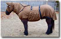 The Boett Pajama on a horse