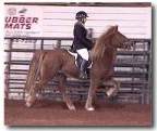 Andrea and Vikingur showing in Dillsburg, Pennsylvania Andrea and Vikingur showing in Dillsburg, Pennsylvania
