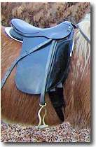 A Typical Icelandic Saddle A Typical Icelandic Saddle