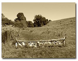 image of a field