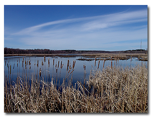 Mendon Ponds Park
